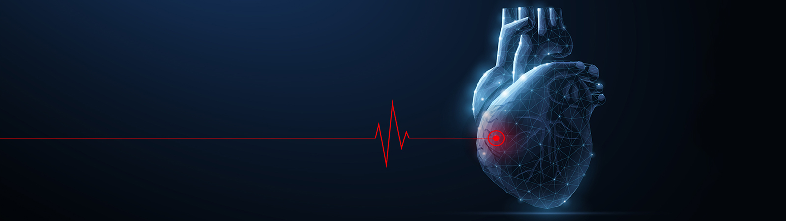 Elettrocardiogramma e cuore stilizzati