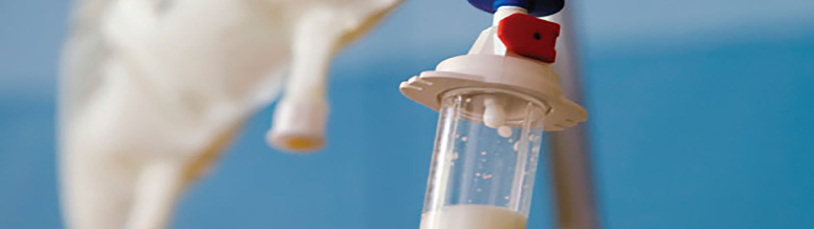 Particolare di una flebo alimentare