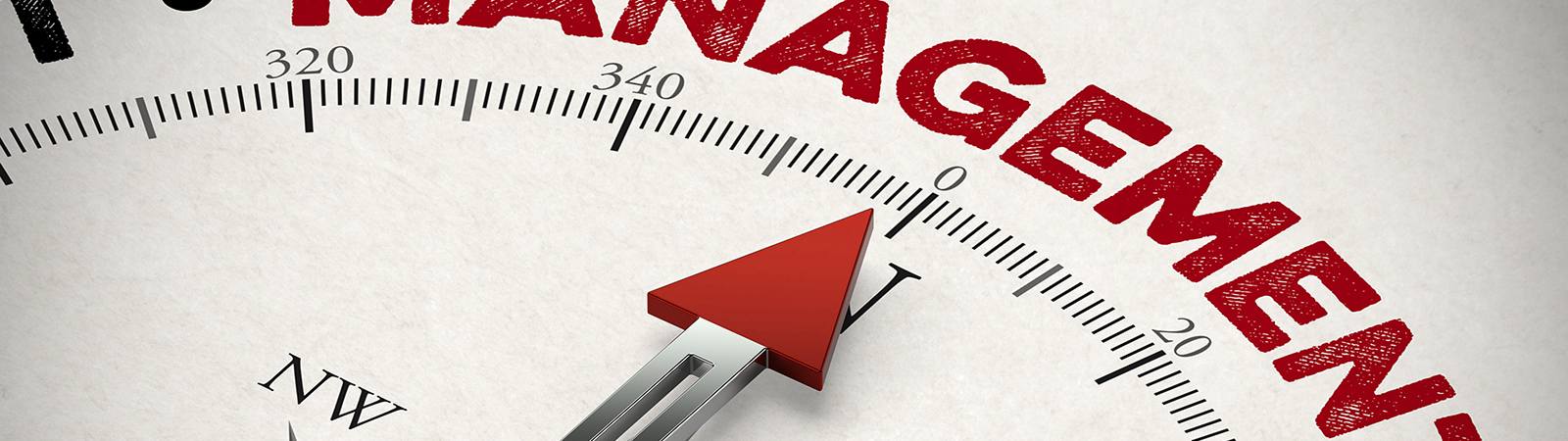 Freccia che indica Management