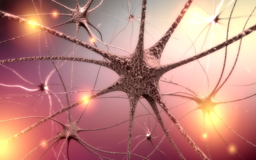 Un nuovo bersaglio per la terapia del declino cognitivo dell'anziano