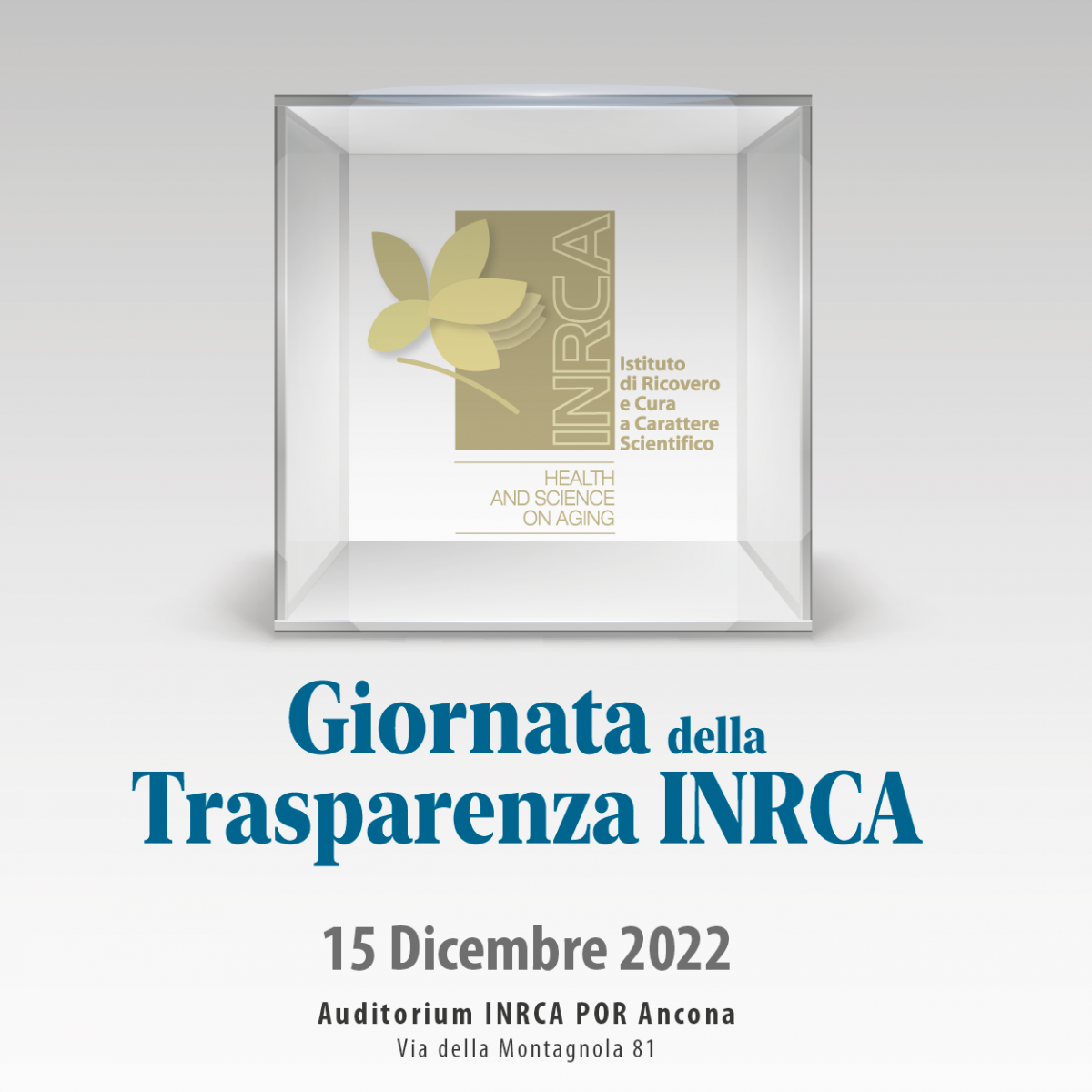immagine della new logo della new