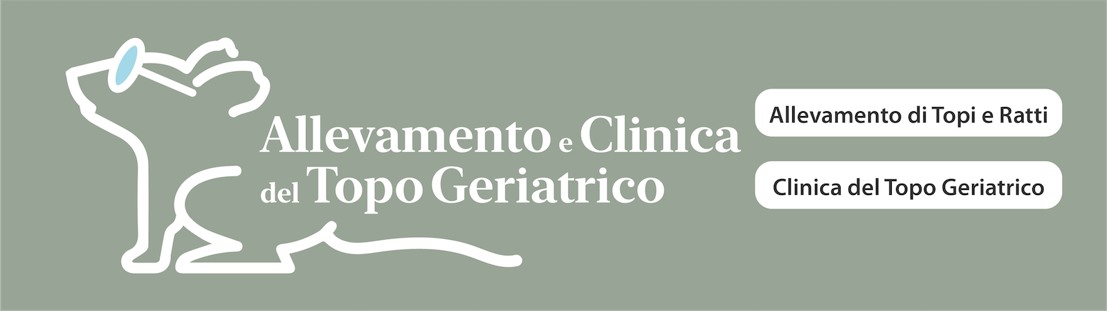 Allevamento topi e ratti