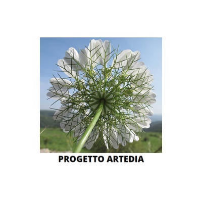 logo progetto logo del progetto