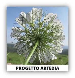 logo progetto logo del progetto