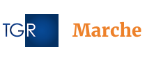 immagine della new logo della new